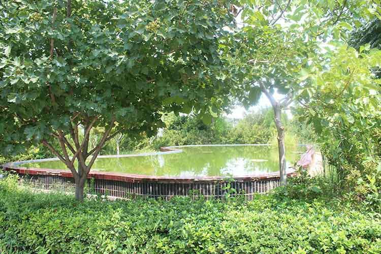 FH体育-FH体育(中国)机械厂区环境优美